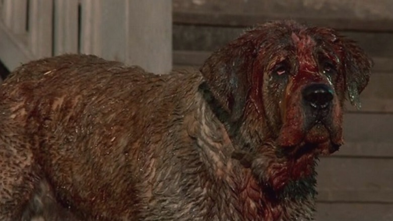 Cujo covered in blood by steps in "Cujo" (1983)