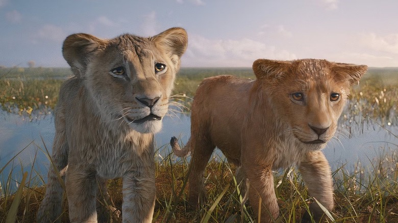 Taka and Mufasa as cubs by a river in "Mufasa: The Lion King."