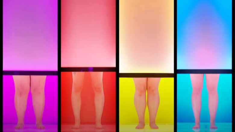 Four sets of legs showing from colored booths in "Naked Attraction"