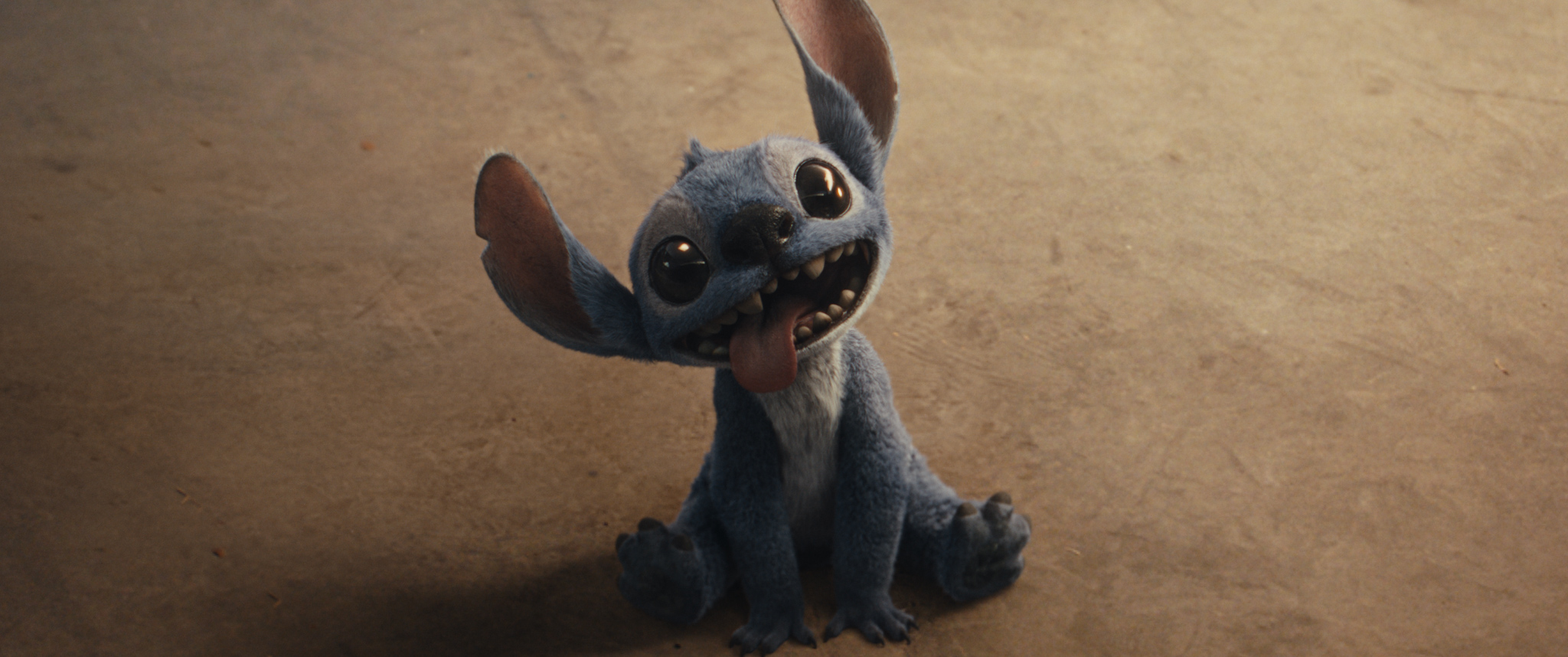 Stitch in Disney’s live-action LILO & STITCH. Photo courtesy of Disney. © 2025 Disney Enterprises Inc. All Rights Reserved.