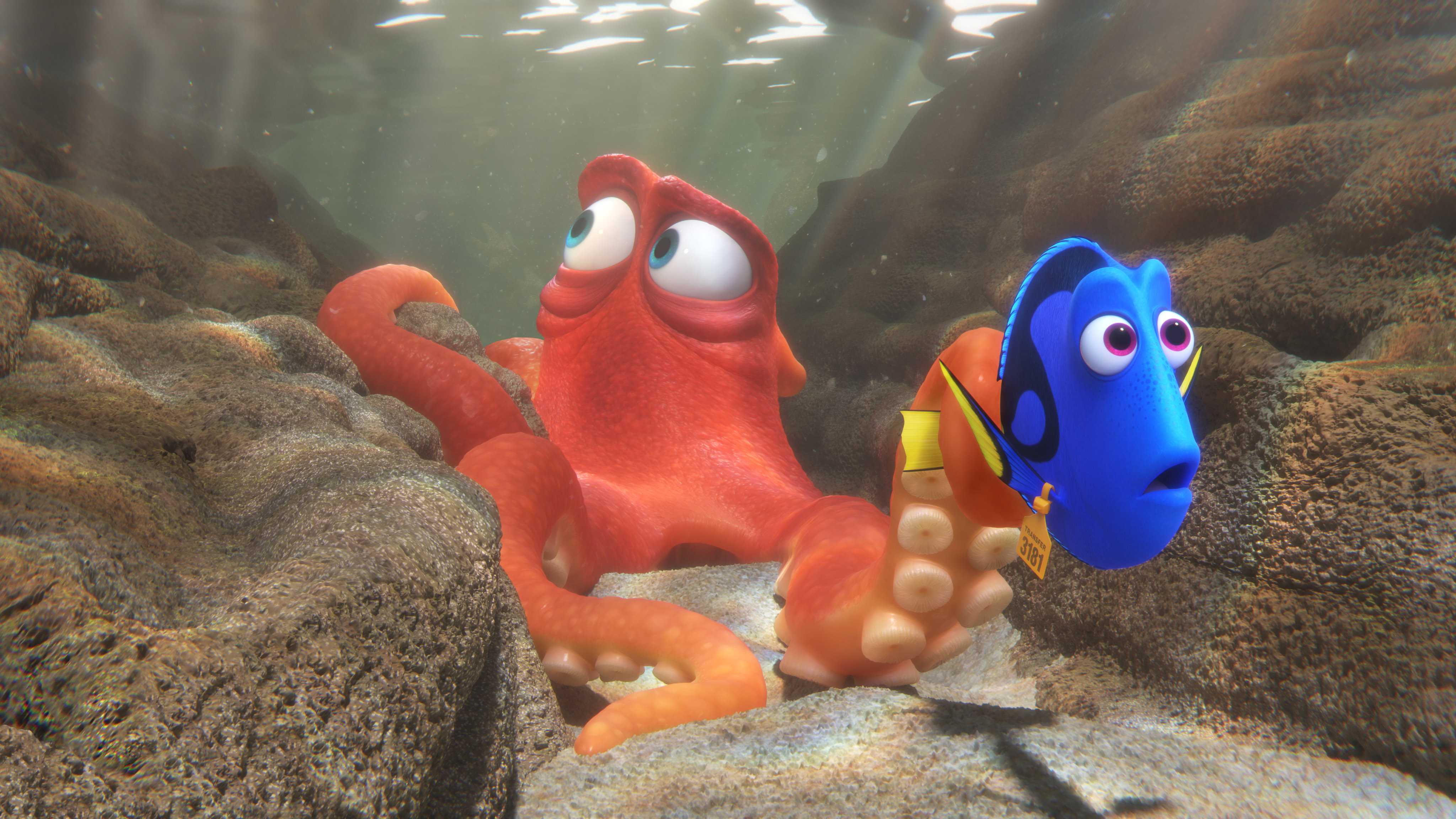 FINDING DORY, from left: Hank (voice: Ed O'Neill), Dory (voice: Ellen DeGeneres), 2016. ©Walt Disney Studios Motion Pictures/courtesy Everett Collection