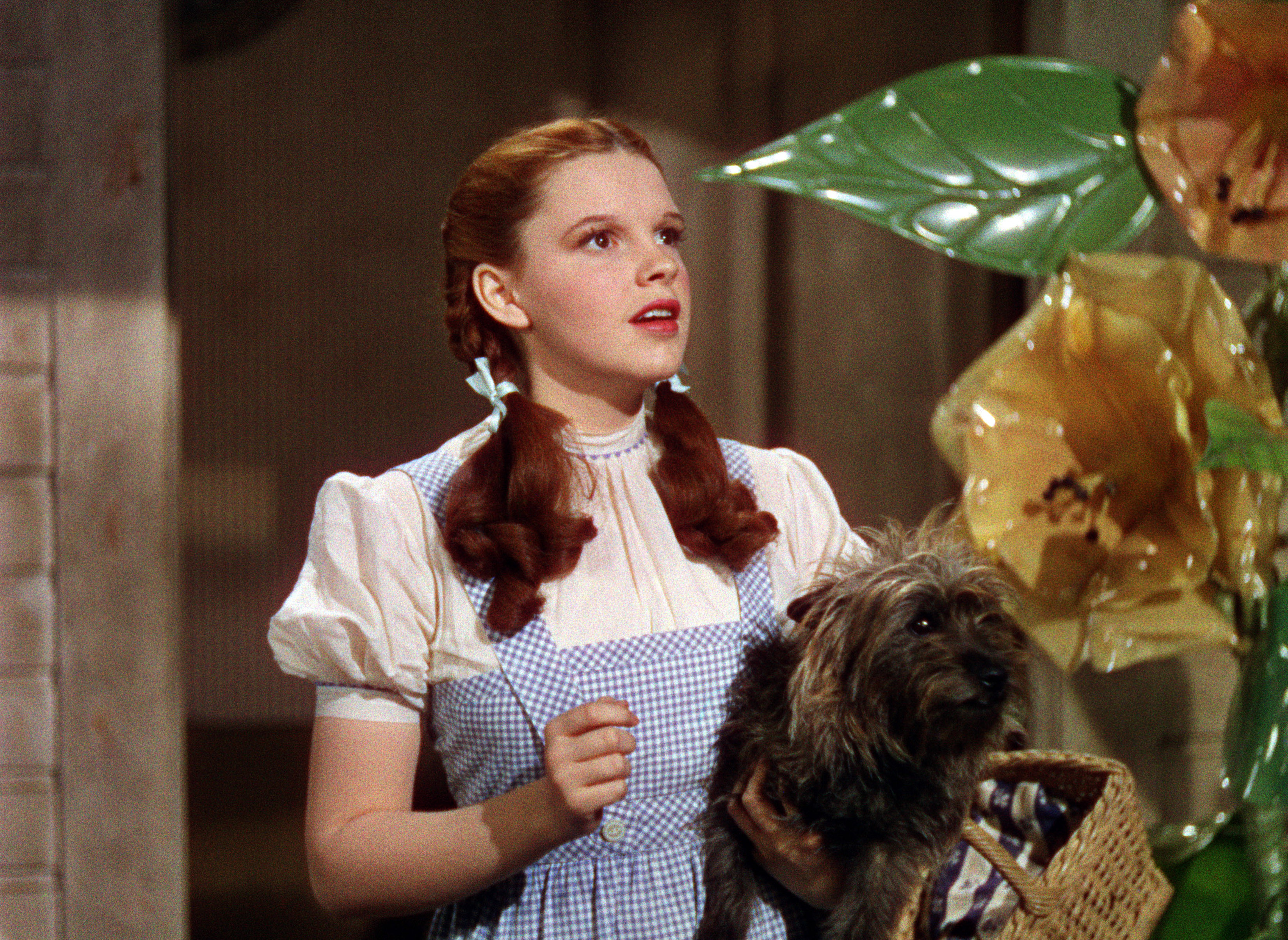 Judy Garland in 1939's 'The Wizard of Oz'