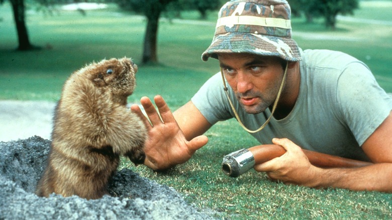 Carl staring down a gopher in "Caddyshack"