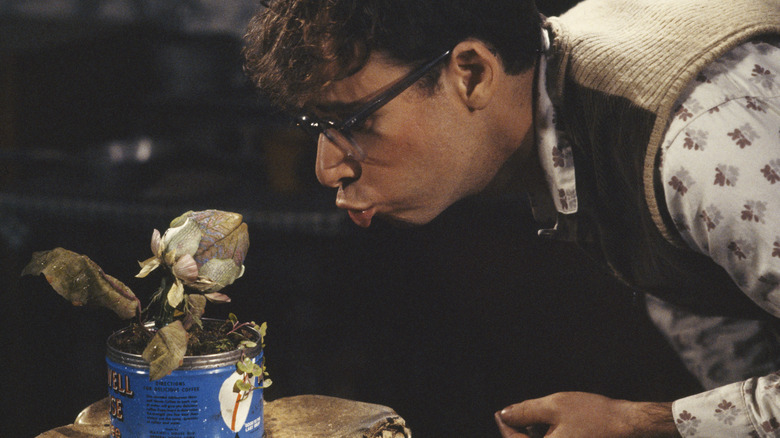 Seymour blows a kiss to Audrey II in "Little Shop of Horrors" (1986)