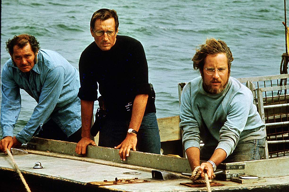 a still from Jaws