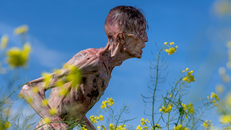 Zombie prowling through a field of flowers in "28 Years Later"