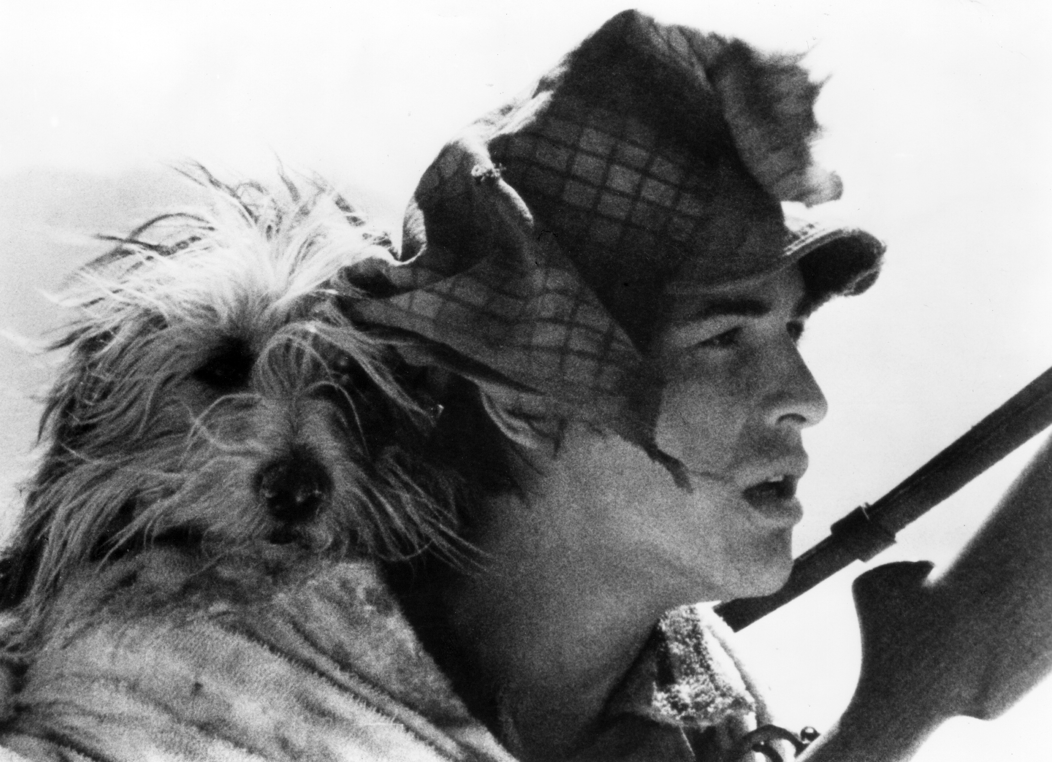A BOY AND HIS DOG, Blood the dog, Don Johnson, 1975.