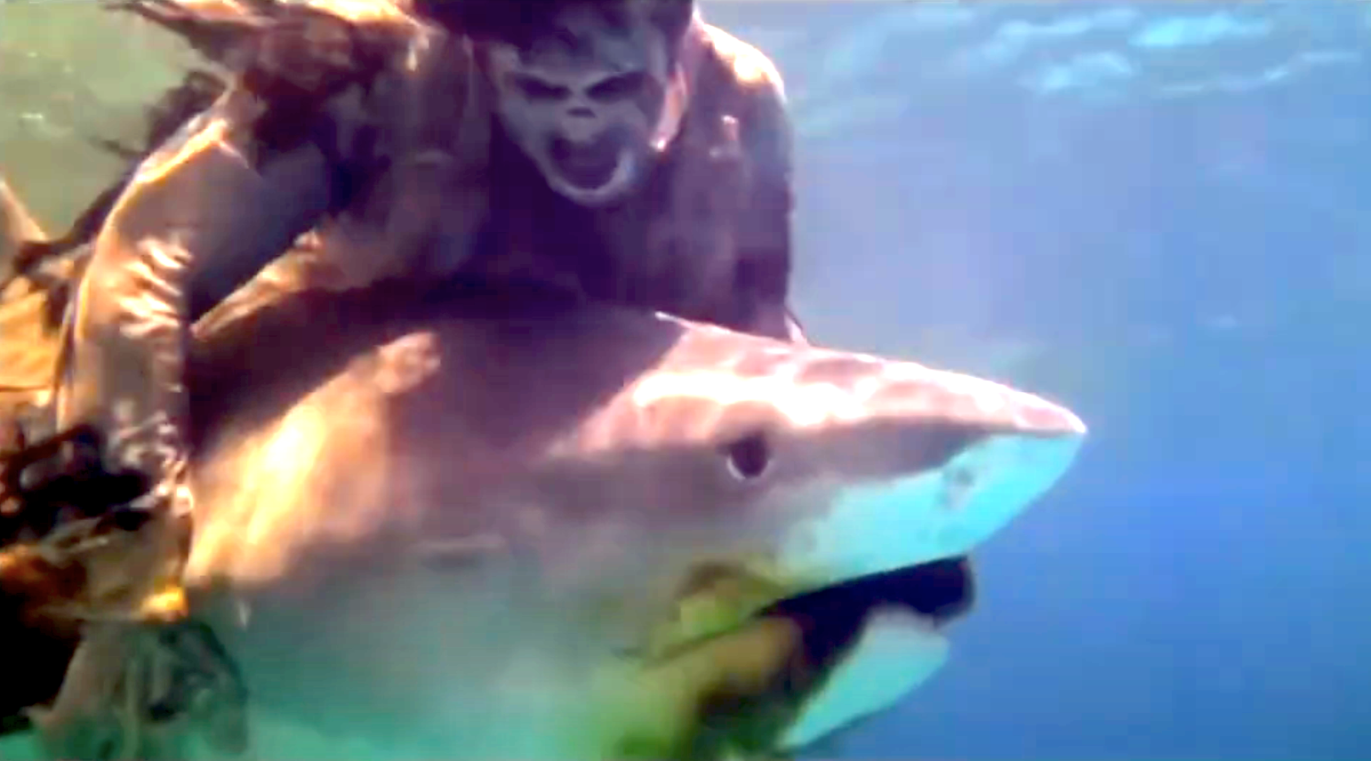 A scene from 'Zombi 2'