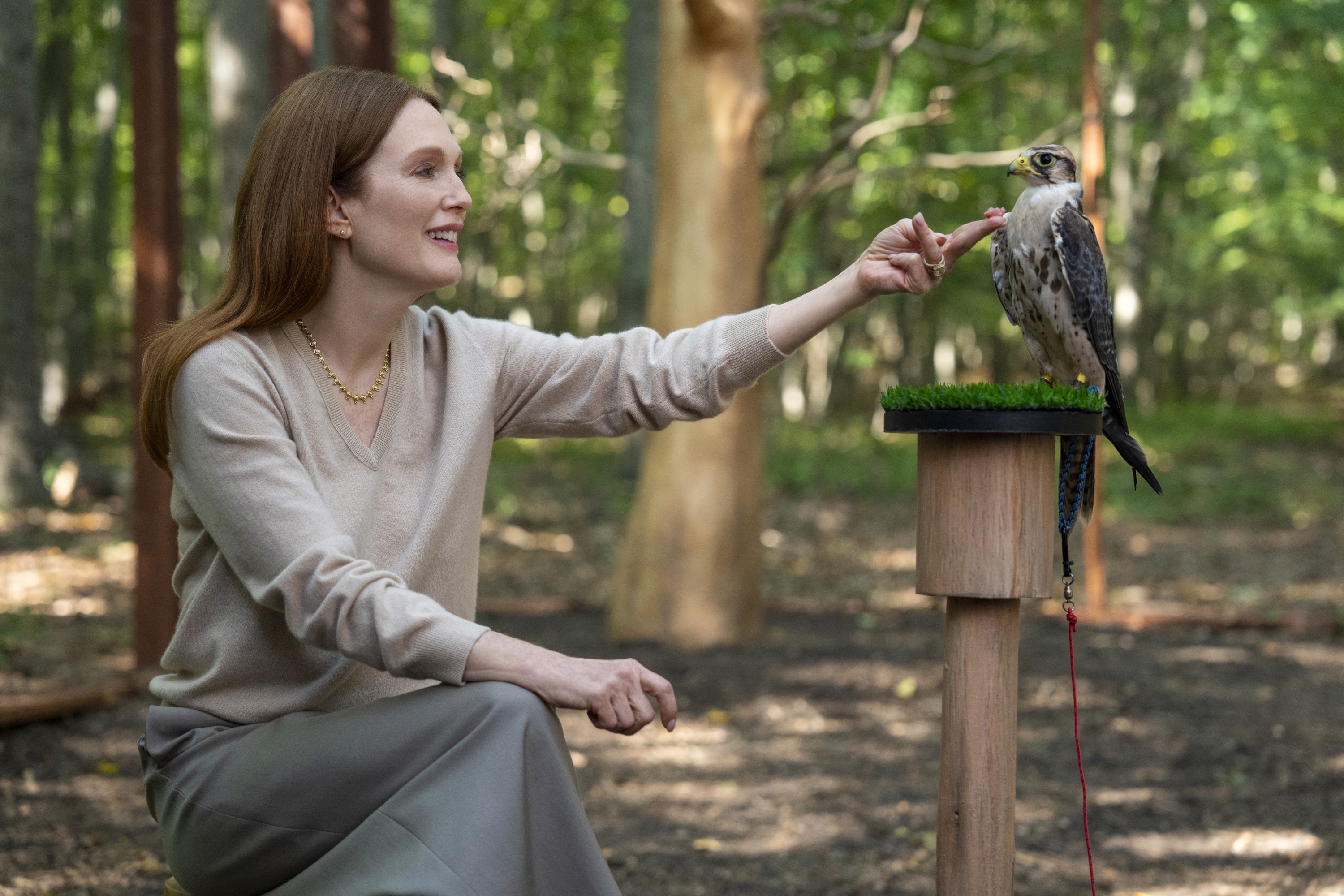 SIRENS, Julianne Moore, Persephone', (Season 1, ep. 104, aired May 22, 2025). photo: Macall Polay / ©Netflix / Courtesy Everett Collection