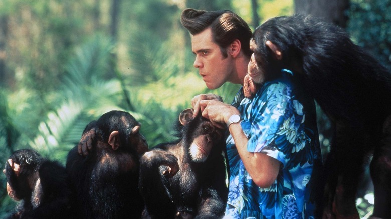 Ace Ventura hanging out with four monkeys in "Ace Ventura: When Nature Calls" (1995)