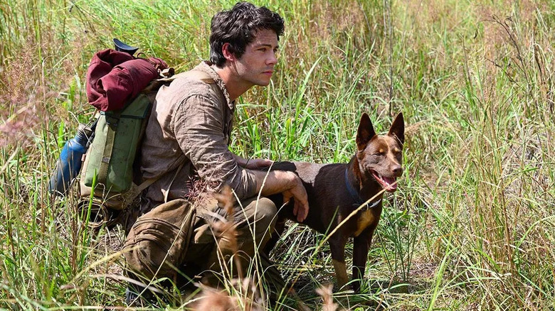 Joel sits in grass with Boy in "Love and Monsters" (2020)