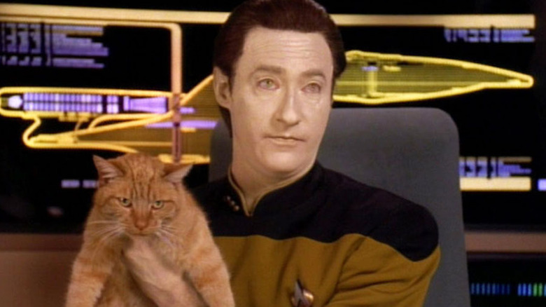 Data holds spot in Star Trek: The Next Generation