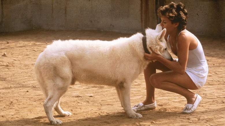 Julie Swayer scratching her dangerous canine in White Dog (1982)