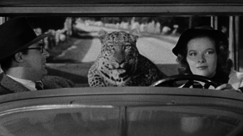 Susan driving with her pet leopard in Bringing Up Baby (1938)